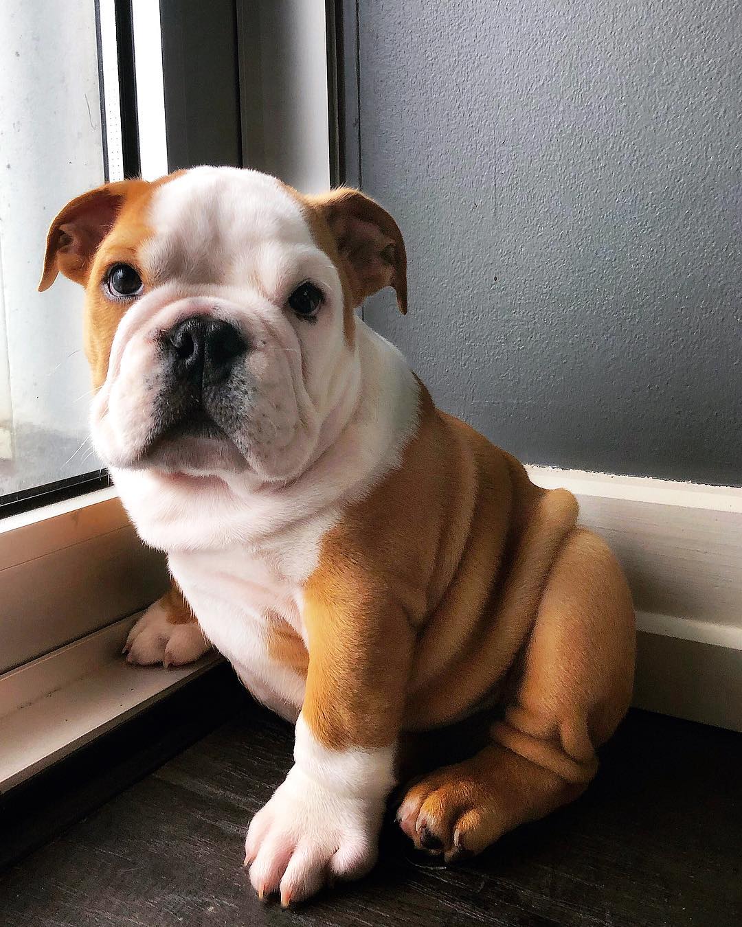 WhatsApp Image 2025-05-29 at 1.10.38 PM (1)