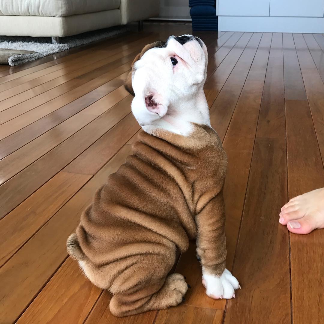 WhatsApp Image 2025-05-29 at 1.10.52 PM