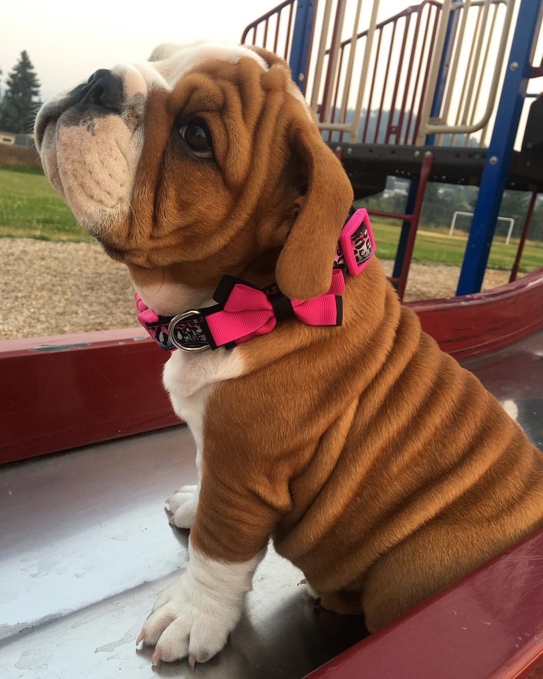 WhatsApp Image 2025-05-29 at 1.11.35 PM