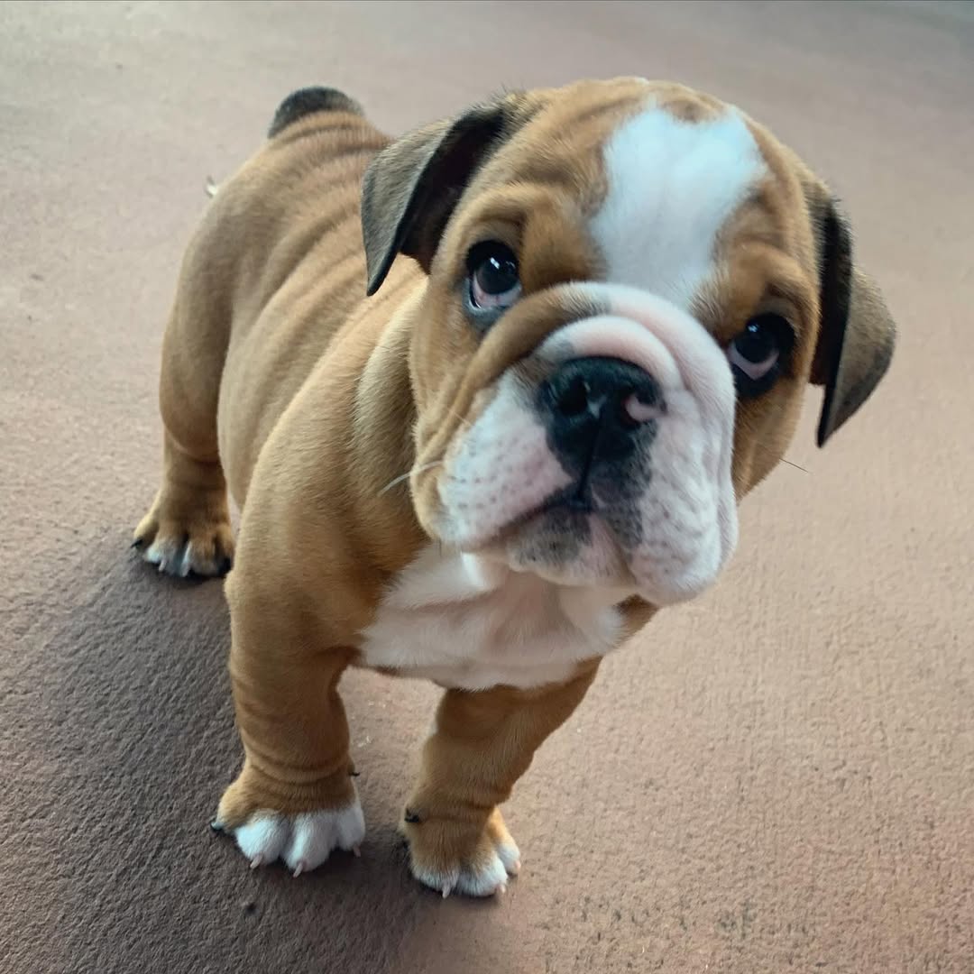 WhatsApp Image 2025-05-29 at 1.10.30 PM